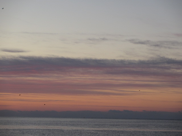 a0193698_2010523.jpg
