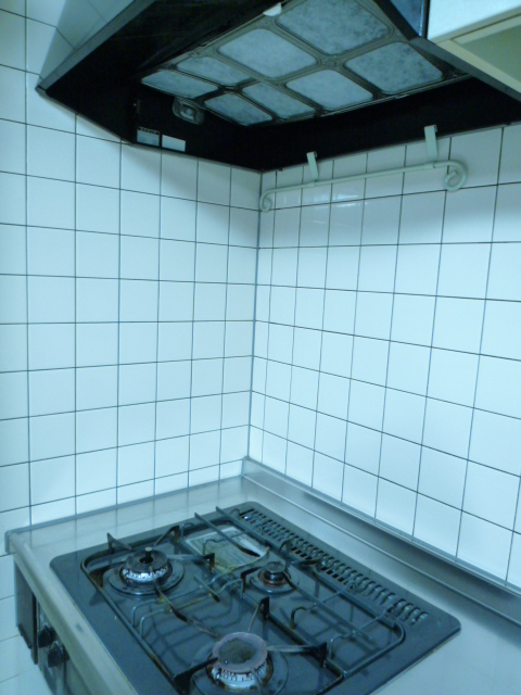 c0220700_855669.jpg