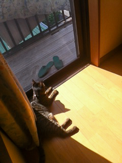 f0239100_23501833.jpg