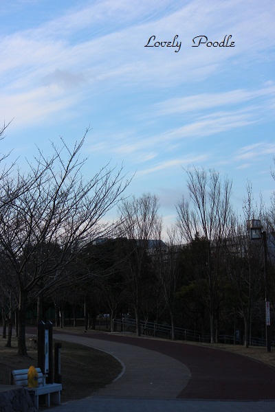 d0257606_2031299.jpg