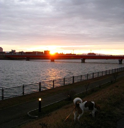 c0084117_20271226.jpg