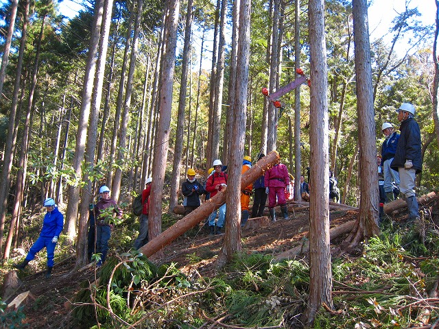 e0002820_2340489.jpg