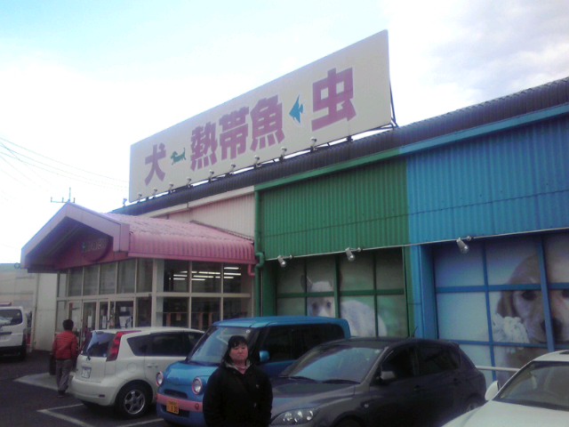 a0291521_19114648.jpg