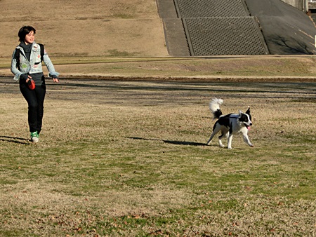 b0279527_13355634.jpg