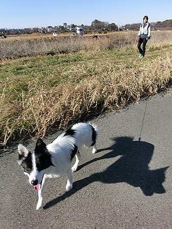 b0279527_1335918.jpg