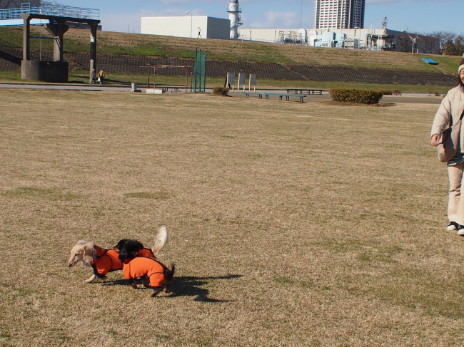 c0117831_21535224.jpg
