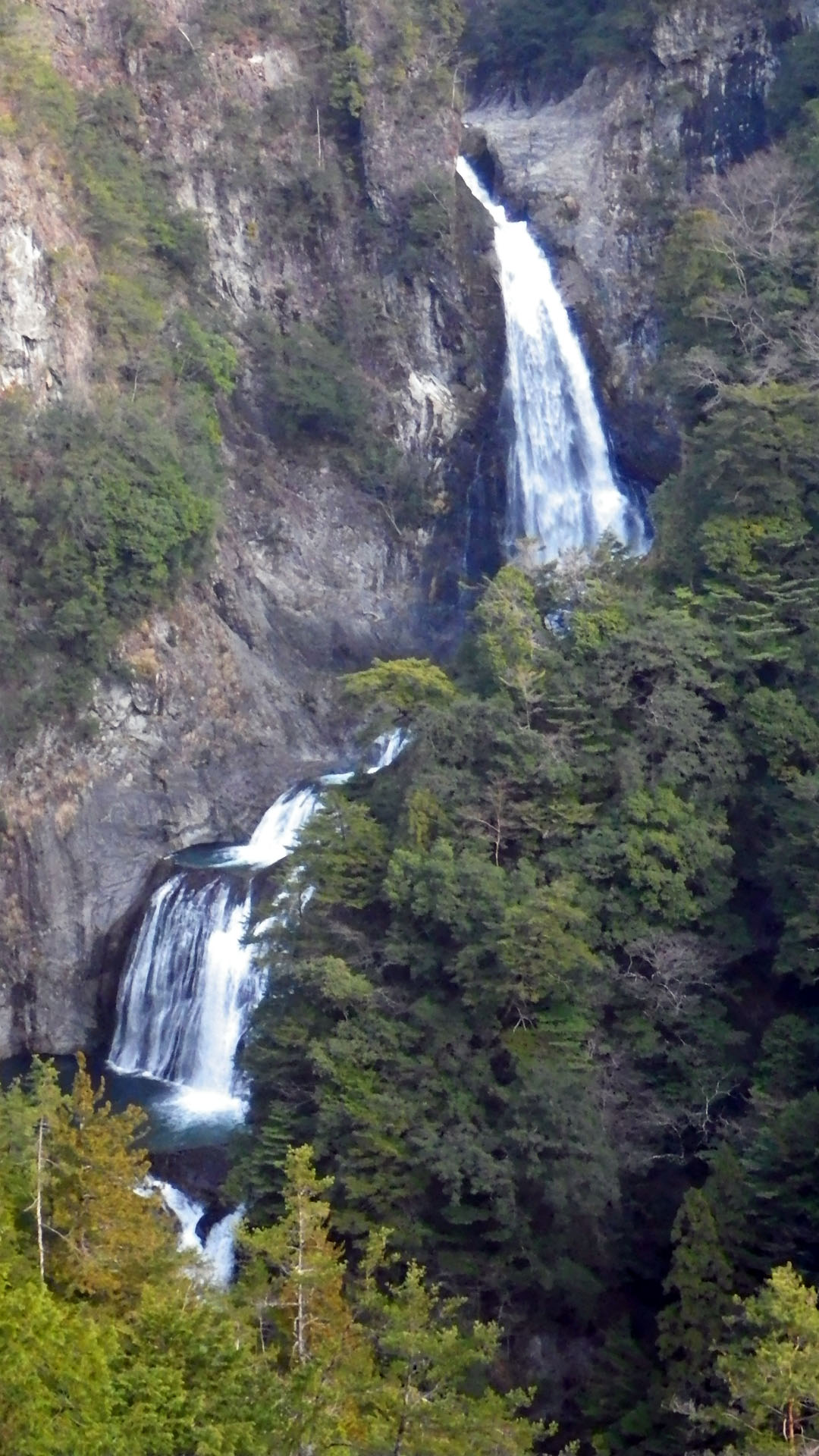 a0243432_22275093.jpg