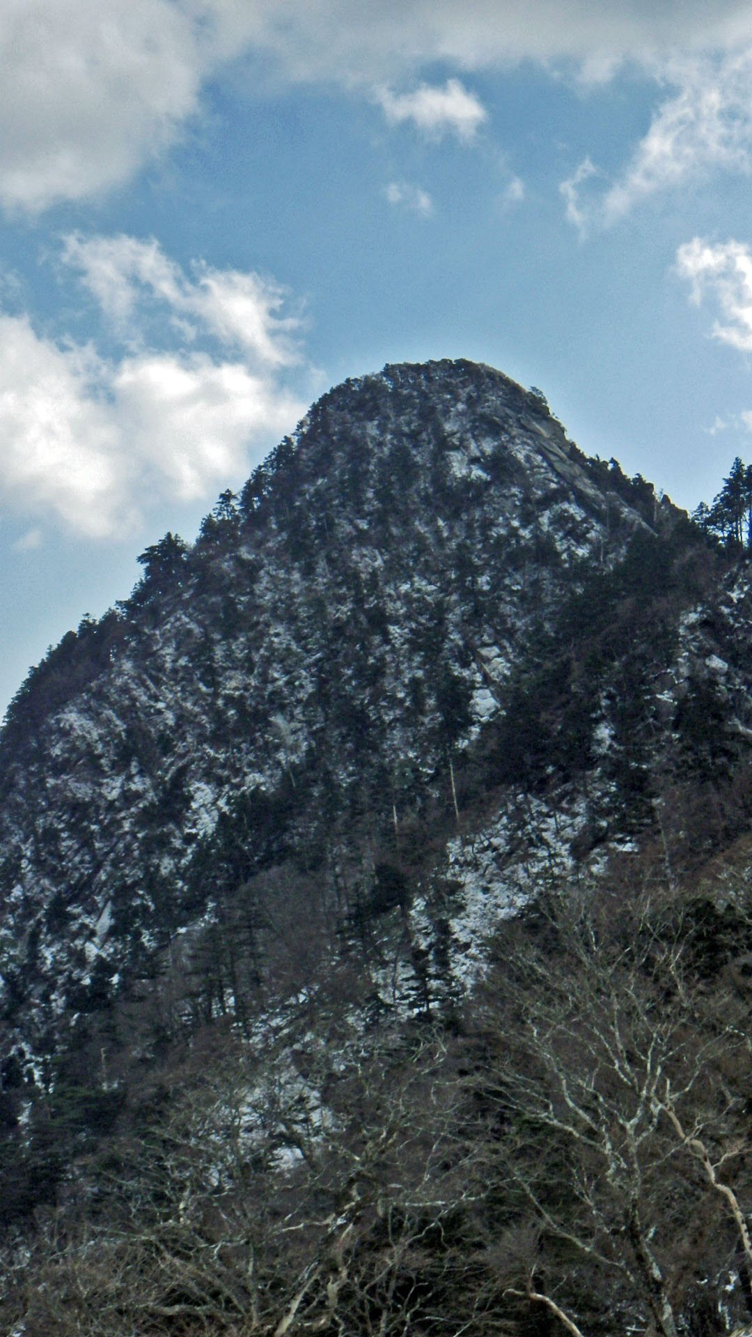 a0243432_22484645.jpg