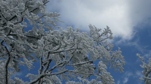 a0243432_2257595.jpg