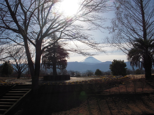 c0114833_12453178.jpg