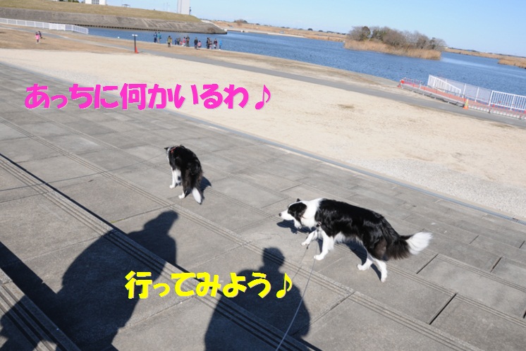c0147241_19442749.jpg