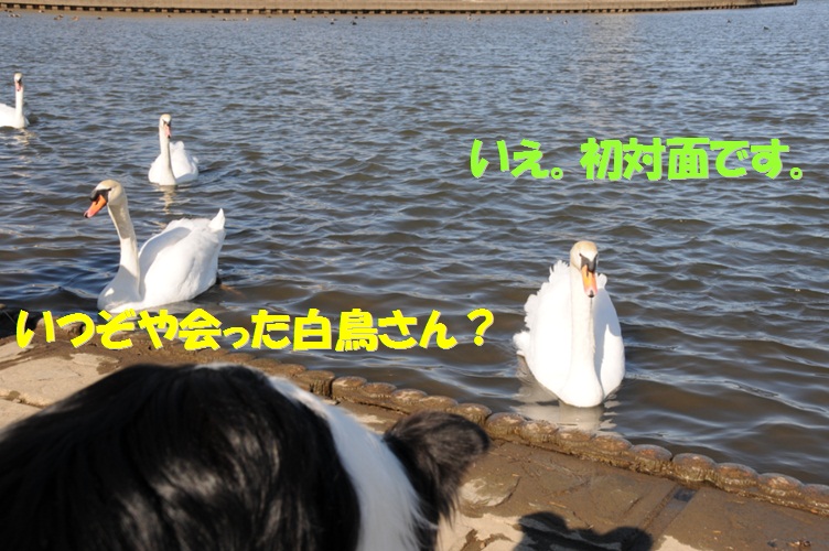c0147241_19443387.jpg