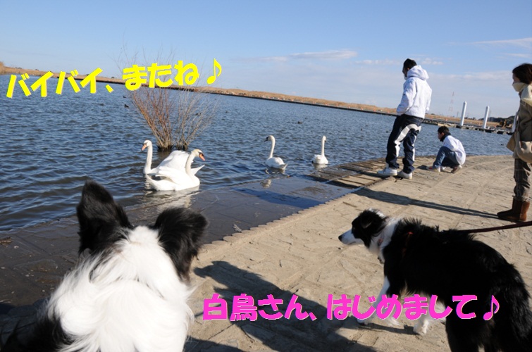 c0147241_19444232.jpg