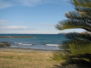 c0141844_2335884.jpg