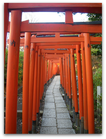 d0227344_254187.png
