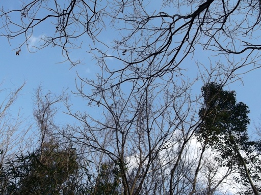 a0237349_19254669.jpg