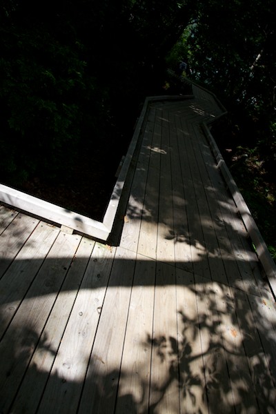 e0122855_14433590.jpg
