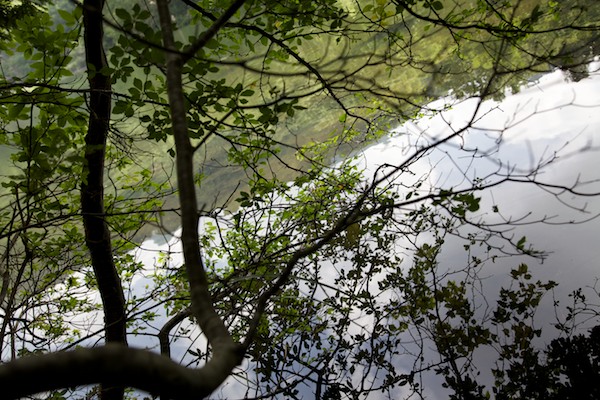 e0122855_1443441.jpg