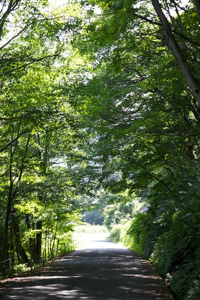 e0122855_15335399.jpg