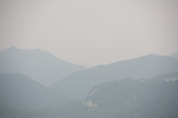 e0122855_1541723.jpg