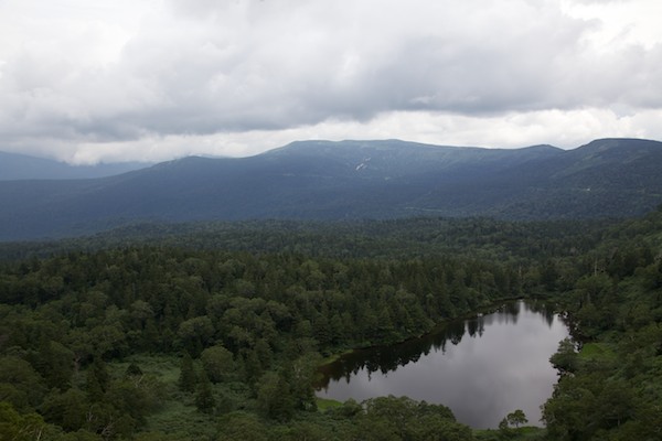 e0122855_15593542.jpg