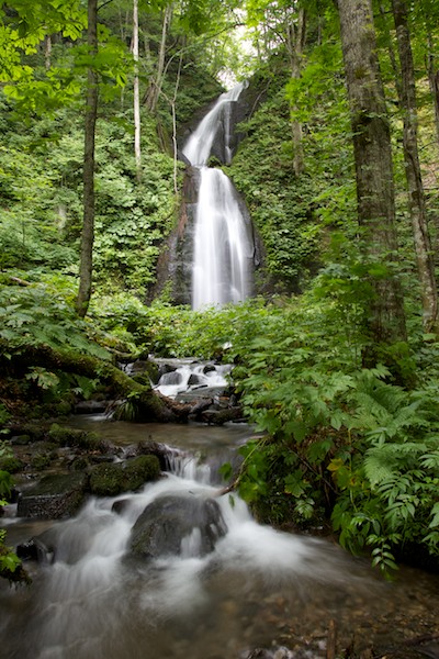 e0122855_16163148.jpg