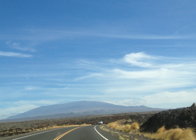 e0033156_8411948.jpg