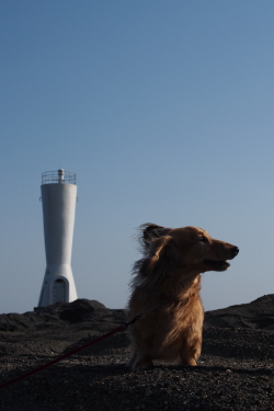 f0214858_19172510.jpg