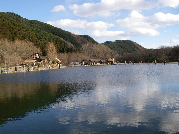 f0212059_18445223.jpg