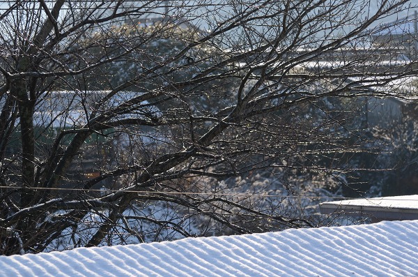 c0186463_180146.jpg