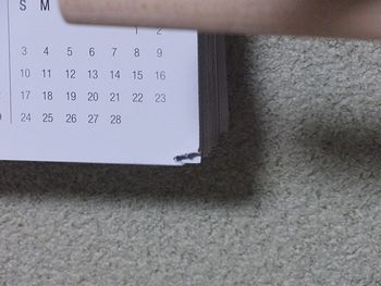f0196665_22481737.jpg