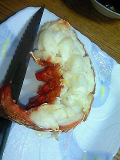 a0267766_108180.jpg