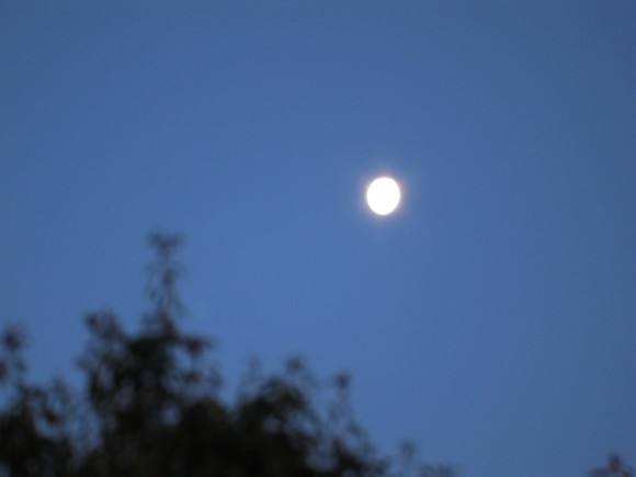 e0205374_13405468.jpg