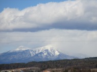 a0142083_21533981.jpg