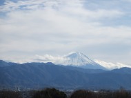 a0142083_215367.jpg