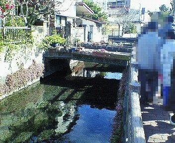 c0014187_294329.jpg