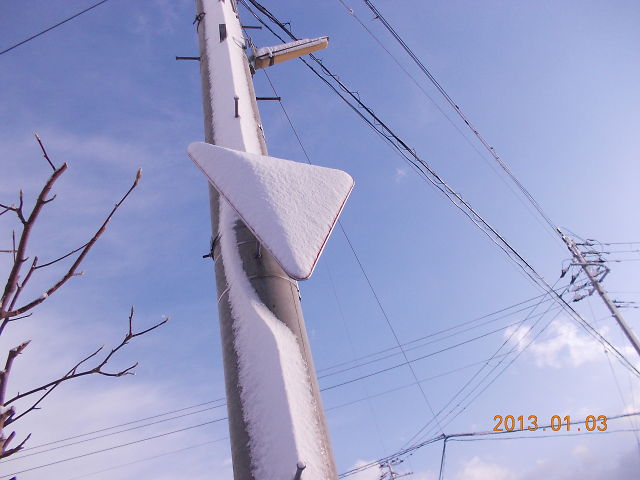 a0007388_11153943.jpg