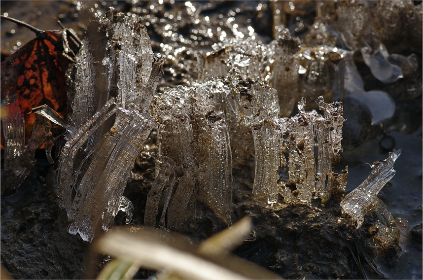 d0209988_2011429.jpg