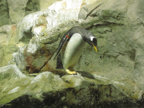 c0180096_1453734.jpg