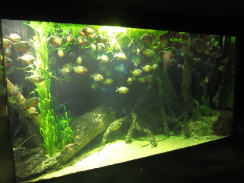 c0180096_1453947.jpg
