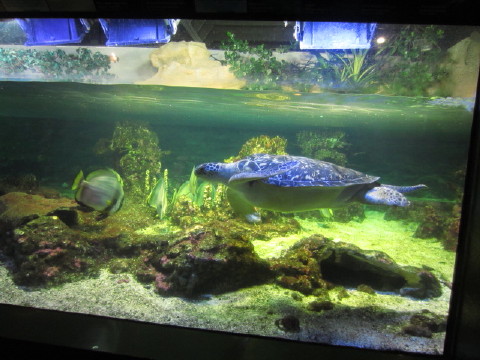 c0180096_146384.jpg