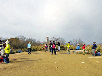 b0108100_2120261.gif