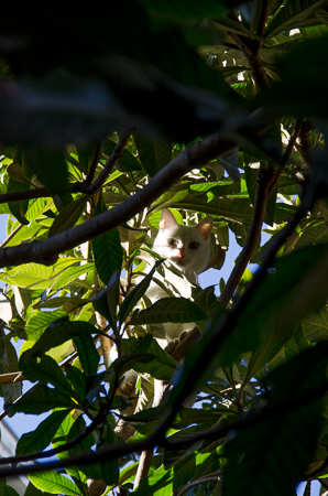 f0239100_21311320.jpg