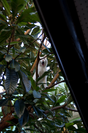 f0239100_21384911.jpg