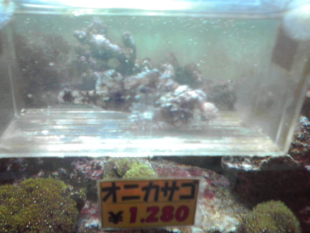 a0291521_16114133.jpg