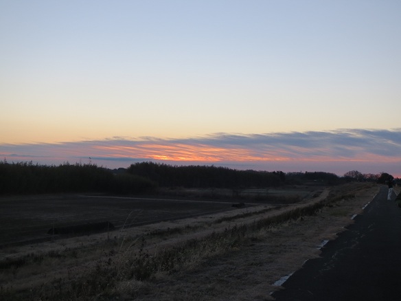 e0201021_16532834.jpg