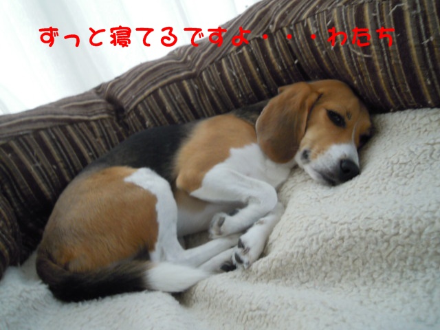 c0166622_932493.jpg
