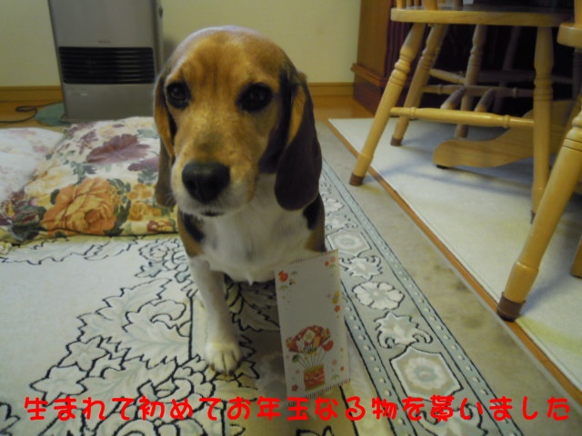 c0166622_9461610.jpg