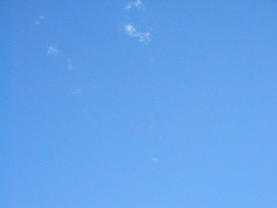 e0071225_3193799.jpg