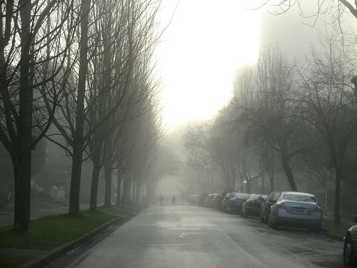 f0111926_1114195.jpg